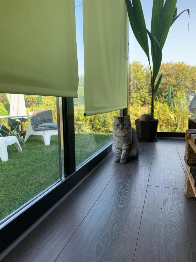 Tu&Ya Cabins Agigea Eksteriør billede